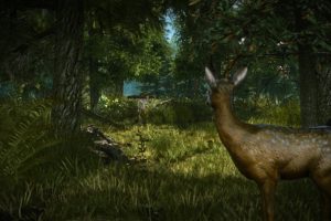 巫师2：国王刺客增强版/巫师2刺客之王加强版