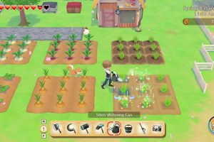 牧场物语 橄榄镇与希望的大地