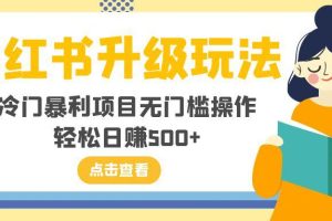 小红书新玩法，冷门暴利项目无门槛操作，轻松日赚500+