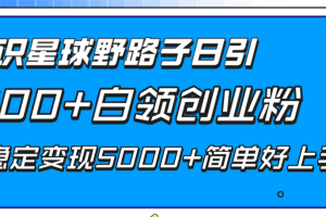 知识星球野路子日引300+白领创业粉，日稳定变现5000+简单好上手！