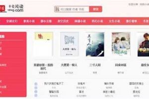 粉色新主题YGBOOK小说网站搭建，带自动采集，可广告变现【教程+源码】