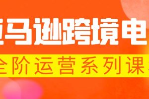亚马逊跨境-电商全阶运营系列课程，每天10分钟，让你快速成为亚马逊运营高手