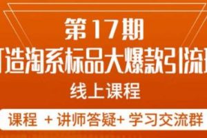 南掌柜-第17期打造淘系标品大爆款，5天线上课