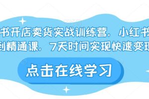 小红书开店卖货实战训练营，小红书入门到精通课，7天时间实现快速变现