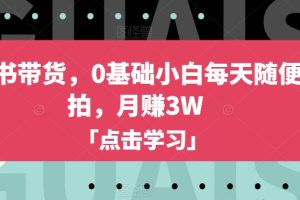 小红书带货新玩法，0基础小白也能月赚3W【揭秘方法】