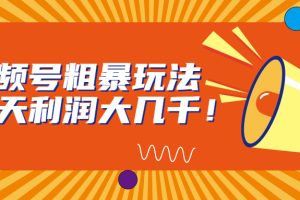 视频号运营：简单粗暴一天利润大几千！