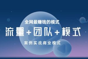 商业模式实战课，全网最赚钱的模式《流量+团队+模式》
