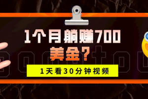 1天看30分钟视频，1个月躺赚700美金？