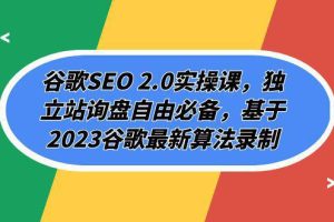 2023谷歌SEO 2.0实操全攻略：独立站询盘自由必备，谷歌最新算法解析（94节）