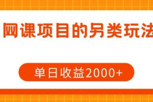 网课项目赚钱攻略：单日收益2000+的另类玩法