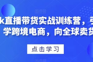 TikTok直播带货，学跨境电商，引爆全球卖货！实战训练营