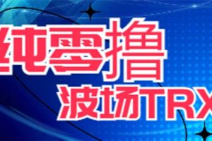最新国外零撸波场项目，类似空投，详细玩法教程，一天可撸10-15个T币！