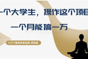 十万个富翁修炼宝典之4：大学生操作直播带货项目，一个月轻松赚取万金！