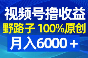 视频号野路子玩法，撸收益，100%原创，条条爆款，月入6000＋