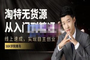 淘特无货源线上速成课，从入门到精通，让你最小投入，最高回报