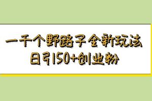 一千个野路子全新玩法,日引50+创业粉