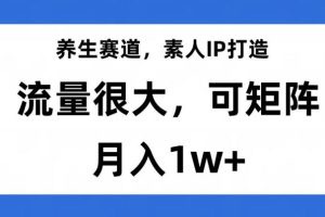 养生赛道IP打造，流量巨大，教你月入1W+【完整揭秘】