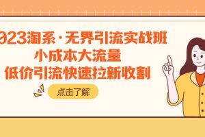 2023淘系·无界引流实战训练营：小成本大流量，低价引流快速拉新收割