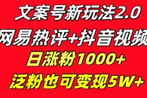 文案号新玩法：网易热评+抖音文案 一天涨粉1000+ 多种变现模式 泛粉也可变现