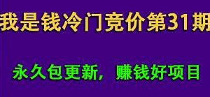 我是钱第31期网授课程网授课百度冷门竞价（完结）