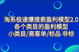 淘系极速搜索盈利模型2.0，揭示各类目标品和非标品的盈利模型，发现小类目的高客单秘诀