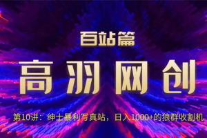 高羽网创百站篇第10讲：写真站项目绿色玩法，日进1k+狼群收割机