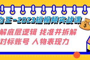 短视频变现大揭秘：2023年实战课程，深入了解底层逻辑，精准拆解对标账号，释放人物表现力！