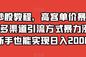 高客单价暴力变现，新手也能实现日入2000+，多渠道引流方式助你涨粉！