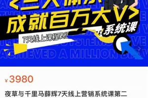营销三大体系成就百万大V，7天线上营销系统课
