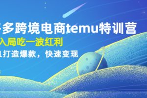 拼多多跨境电商temu特训营（先入局吃一波红利，从0到1打造爆款，快速变现）