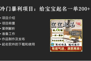 【新课】冷门暴利项目：给宝宝起名（一单200+）内附教程+工具