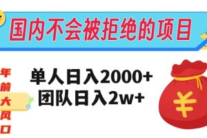 在国内不怕被拒绝的项目，单人日入2000，团队日入20000，不容错过！