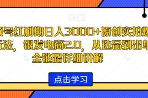 视频号红利期原创实拍爆款玩法，银发电商2.0，日入3000+，从选品到出单全链路详细讲解【揭秘】