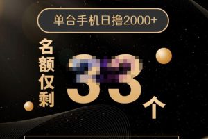 2022年全新口子，手机批量搬砖玩法，一部手机日撸2000+