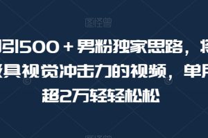 男粉独家思路：极具视觉冲击力的美女视频变现，单月盈利超2万轻松达成【揭秘】