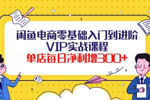 闲鱼电商零基础入门到进阶VIP实战课程，单店每日净利增300+ 会员课程 1年前 0 24 12.8