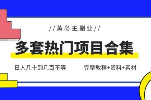 黄岛主副业多套热门项目合集：日入几十到几百不等（完整教程+资料+素材）