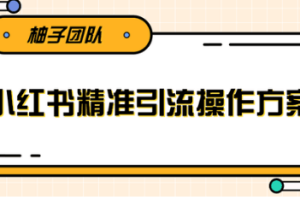 落地实操的小红书精准引流操作方案（一步步执行轻松爆流上万【视频教程】）