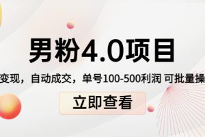 私域变现 自动成交 单号100-500利润 可批量（创业男粉1+2+3+4.0项目）