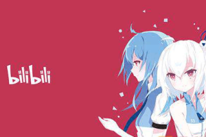 教你从零到20万精准粉，b站/哔哩哔哩实操运营教程免费音频分享