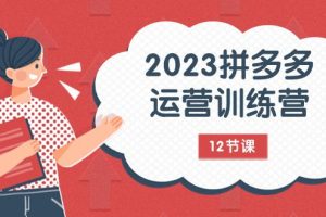 2023年拼多多运营攻略：解锁流量秘密，全方位免费+付费流量实战解析（12节课）