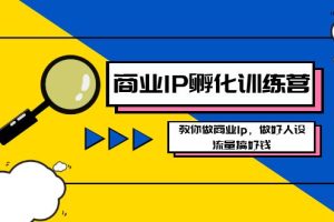 打造商业IP-孵化训练营新版，学会做商业Ip，做好人设，流量搞好钱