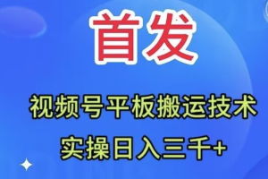 全网首发：视频号平板搬运技术，实操日入3000＋