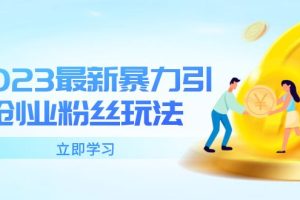 2023最新暴力引流创业粉丝玩法，单日被动引流50+创业粉