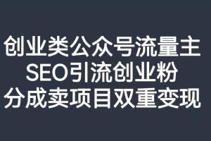 公众号创业SEO引流玩法，打造高质量流量池，双重变现项目！
