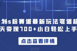 YW计划S粉赛道新玩法，轻松实现每天变现700！只需简单操作，小白也能上手！