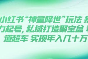小红书“神童降世”玩法 暴力起号,私域打造聚宝盆 弯道超车 实现年入几十万