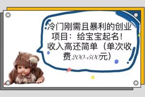 新生儿宝宝命名创业项目，收入高还简单！私域市场单次收费200-500！