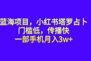 蓝海项目揭秘：小红书塔罗占卜，一部手机月入3w+，门槛低传播快！