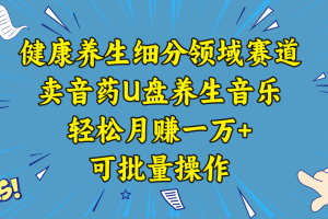 五行音乐养生：细分领域赛道卖音药U盘，打造轻松月赚一万+的健康养生项目